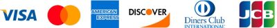Pay with Credit Debit Card 1024x104 1 - Sword Art Online Merchansie